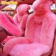 5pcs Pink Wool Fur Car Front Seat Covers Steering Wheel Cover Winter Essential