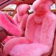 5pcs Set Car Front Seat Cover Fur Car Seat Steering Wheel Cover Pink Wool Wint