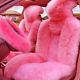 5pcs/set Pink Fur Fluffy Thick Car Steering Wheel Cover2 Front Car Seat Cover
